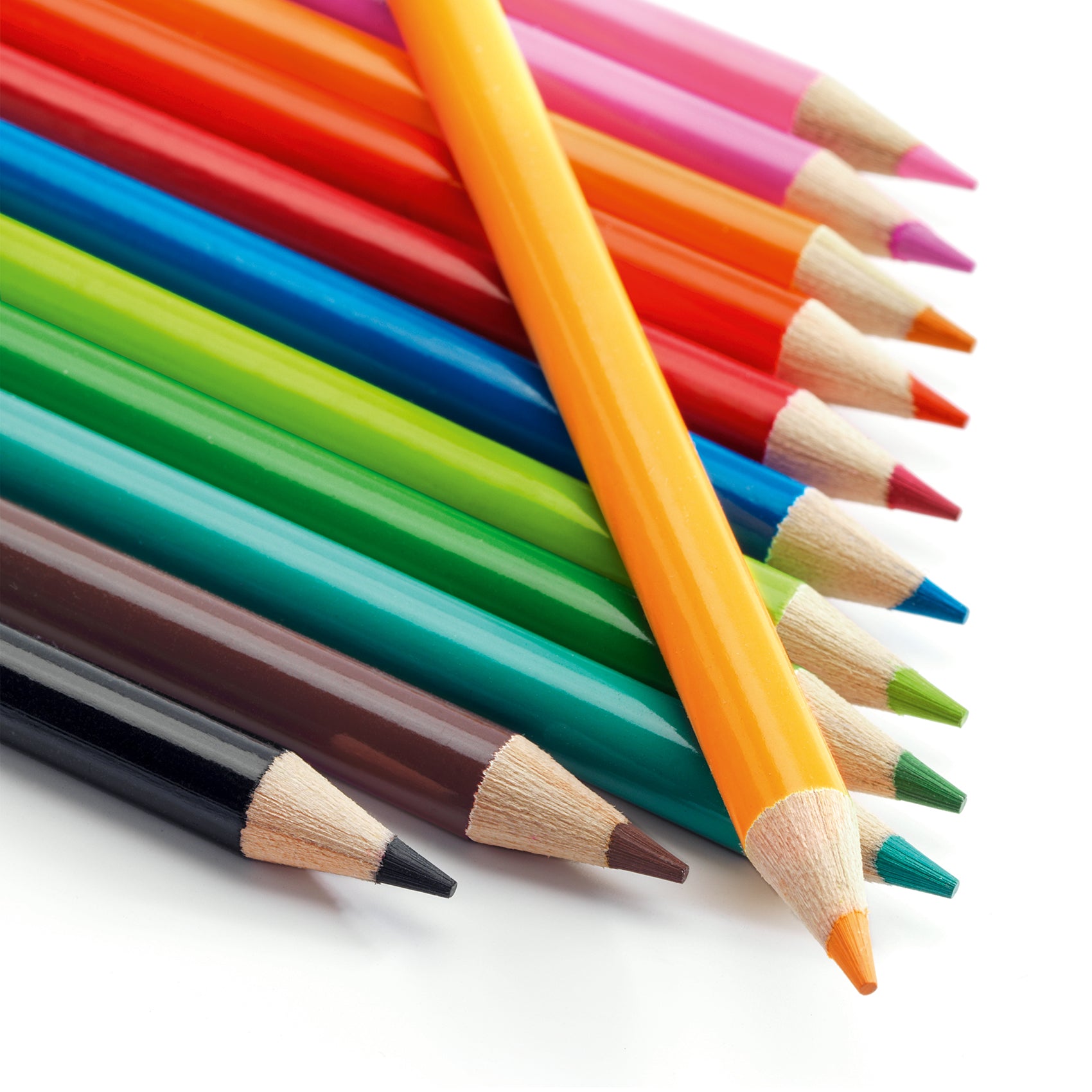 Djeco 12 Watercolour Pencils